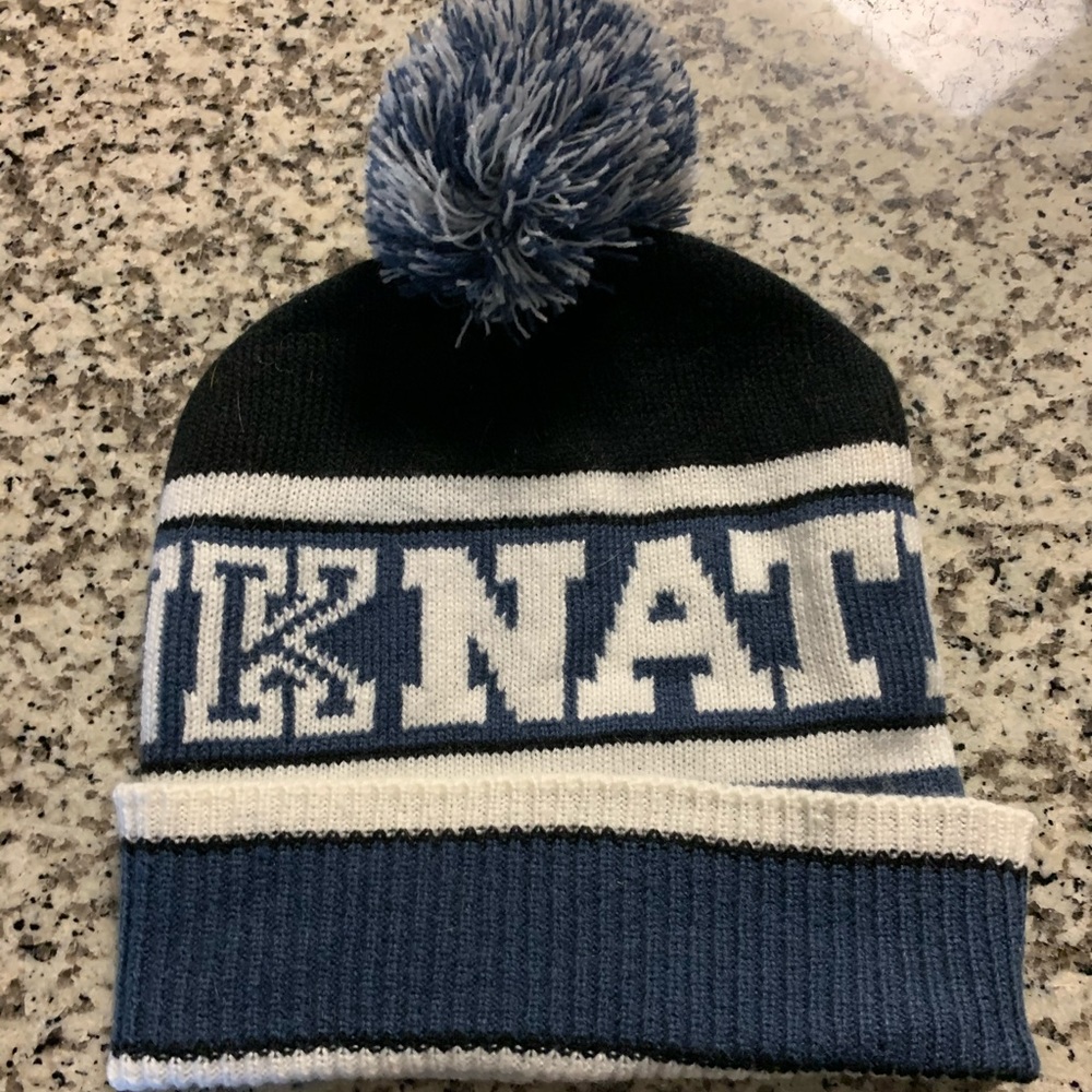 Blue pink nation beanie